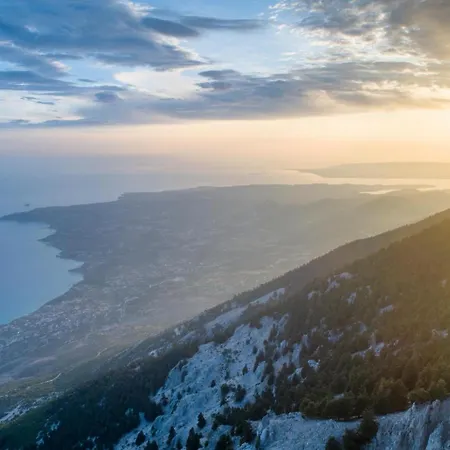 Cherry Willa Plateies